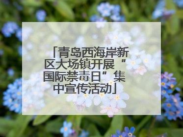 青岛西海岸新区大场镇开展“国际禁毒日”集中宣传活动